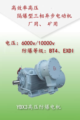 YBX3高壓防爆電機(jī)-6kv，10kv
